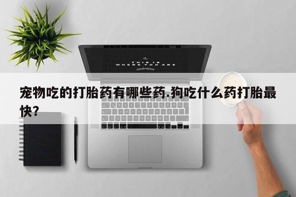 哪里有米索前列醇片宠物吃的打胎药有哪些药.狗吃什么药打胎最快？