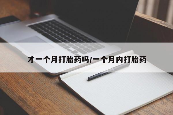 哪里有米索前列醇片才一个月打胎药吗/一个月内打胎药