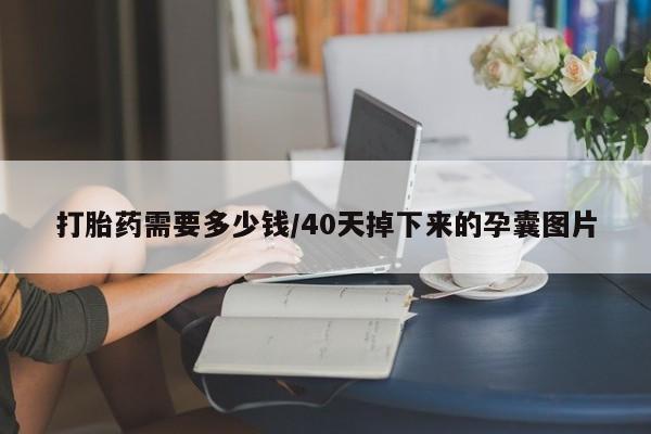 哪里有米索前列醇片打胎药需要多少钱/40天掉下来的孕囊图片