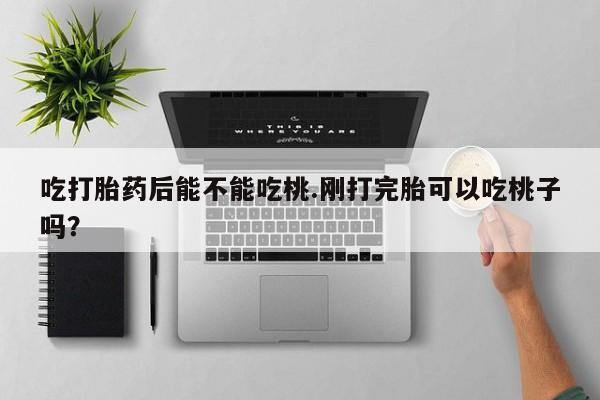 哪里有米索前列醇片吃打胎药后能不能吃桃.刚打完胎可以吃桃子吗？